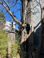 熊野神社の写真・動画_image_413949