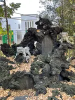 洲崎大神の写真・動画_image_413966