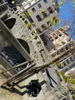 眼鏡橋の写真・動画_image_414226