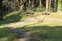 こども広場（Play Ground）の写真・動画_image_414252