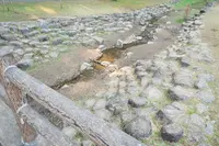 運動広場（越ヶ迫池近く）の写真・動画_image_414255