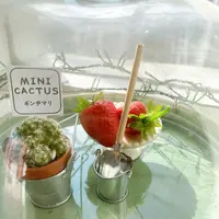 うるう農園（いちご狩り、いちご直販）の写真・動画_image_414296