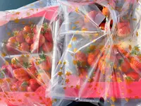 うるう農園（いちご狩り、いちご直販）の写真・動画_image_414297