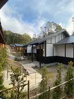 そのぎ茶温泉里山の湯宿 つわぶきの花の写真・動画_image_414320