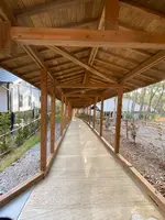 そのぎ茶温泉里山の湯宿 つわぶきの花の写真・動画_image_414321