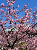 見光寺の写真・動画_image_414352
