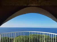 フナウサギバナタの写真・動画_image_414431