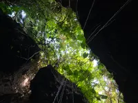 ヌドクビアブの写真・動画_image_414435