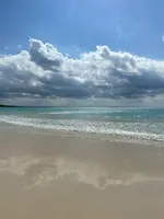 渡口の浜の写真・動画_image_414462