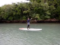 sea_aid（SUP,シュノーケリング）の写真・動画_image_414537