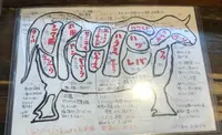 牛の四文屋の写真・動画_image_414568