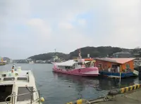 呼子の朝市の写真・動画_image_414644
