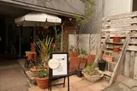 FIGARO spaceの写真・動画_image_414687