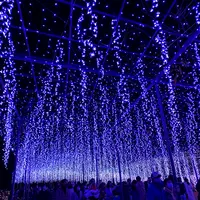 あしかがフラワーパークの写真・動画_image_414819