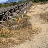 流れ橋（上津屋橋）の写真・動画_image_414862