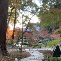 金戒光明寺の写真・動画_image_414875