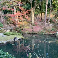 金戒光明寺の写真・動画_image_414876