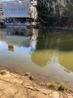 都筑中央公園の写真・動画_image_414902