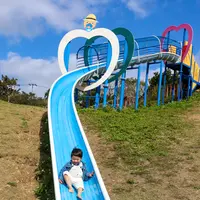 グスクロード公園（なんじー公園）の写真・動画_image_415059