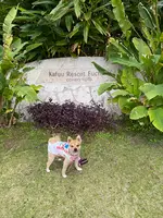 カフーリゾートフチャク コンドホテルの写真・動画_image_415164