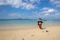 備瀬のフクギ並木の写真・動画_image_415239