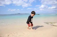 備瀬のフクギ並木の写真・動画_image_415241