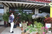 御菓子御殿 名護店 （ やんばる亜熱帯の森 ）の写真・動画_image_415243