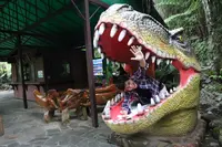 御菓子御殿 名護店 （ やんばる亜熱帯の森 ）の写真・動画_image_415244