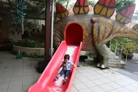 御菓子御殿 名護店 （ やんばる亜熱帯の森 ）の写真・動画_image_415245
