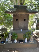 冨塚八幡宮の写真・動画_image_415376