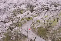 大野ダムの写真・動画_image_415419