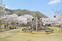 大野ダムの写真・動画_image_415420