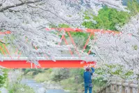 平屋大橋の写真・動画_image_415426