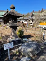 清浄光寺（遊行寺）の写真・動画_image_415450
