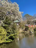 清浄光寺（遊行寺）の写真・動画_image_415453