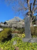 清浄光寺（遊行寺）の写真・動画_image_415454