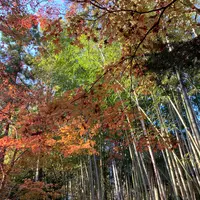北野天満宮の写真・動画_image_416255