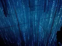 【閉業】森ビルデジタルアートミュージアム：エプソン チームラボボーダレス（MORI Building Digital Art Museum: EPSON teamLab Borderless）の写真・動画_image_416298