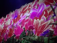 【閉業】森ビルデジタルアートミュージアム：エプソン チームラボボーダレス（MORI Building Digital Art Museum: EPSON teamLab Borderless）の写真・動画_image_416302