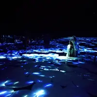 【閉業】森ビルデジタルアートミュージアム：エプソン チームラボボーダレス（MORI Building Digital Art Museum: EPSON teamLab Borderless）の写真・動画_image_416304