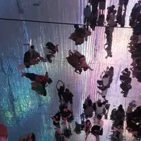 チームラボプラネッツ TOKYO (teamLab Planets TOKYO) DMMの写真・動画_image_416336