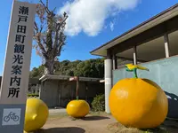 瀬戸田町観光案内所の写真・動画_image_416433
