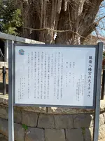 鶴嶺八幡宮の写真・動画_image_416493