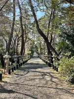 鶴嶺八幡宮の写真・動画_image_416500
