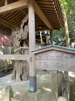 鶴嶺八幡宮の写真・動画_image_416506