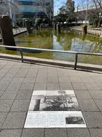 旧相模川橋脚の写真・動画_image_416510