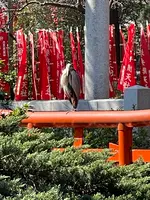 平塚八幡宮の写真・動画_image_416519