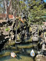 平塚八幡宮の写真・動画_image_416526