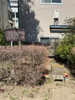 番町皿屋敷 お菊塚の写真・動画_image_416536