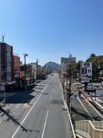 江戸見附緑地の写真・動画_image_416570